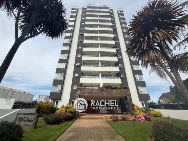 SE VENDE GRAN DEPTO CON 4 DORMITORIOS- La Haya-Sector Holandesa