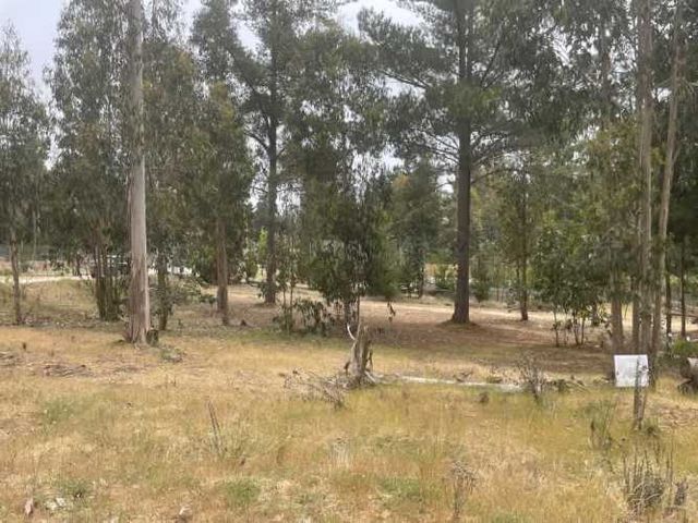 CONDOMINIO PROTEJIDO SECTOR CAMINO AL TOTORAL HUAL