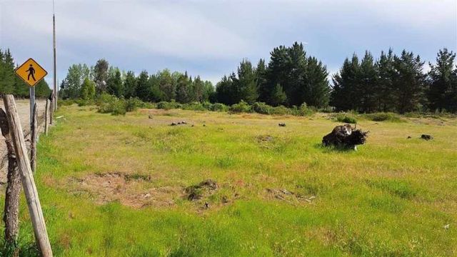 PARCELA Sector Valencia. Comuna de Cabrero. Hijuela El Alamo. El Quillay LT 2