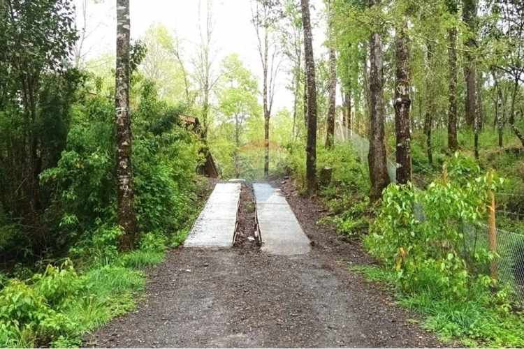 Venta acogedora casa en parcela pucón