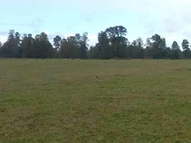 TERRENO, CAMPO AGRICOLA 4,793 HA EN PURRANQUE FRUTILLAR