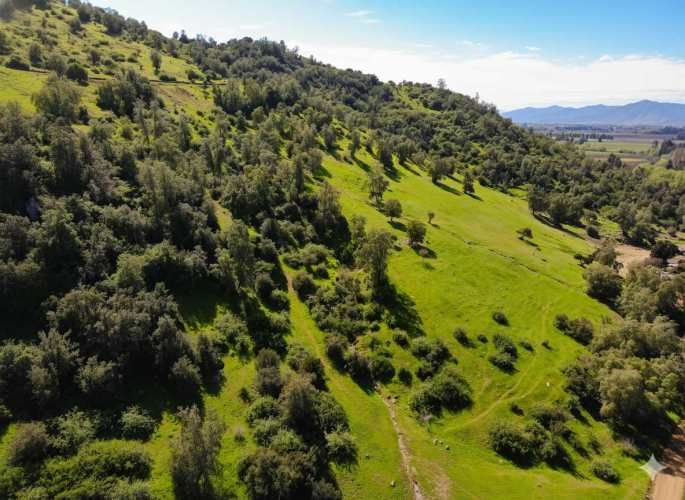 Parcelas en Santa Cruz: Vistas a Viñas del Colchagua (A 2 Hrs. Stgo).