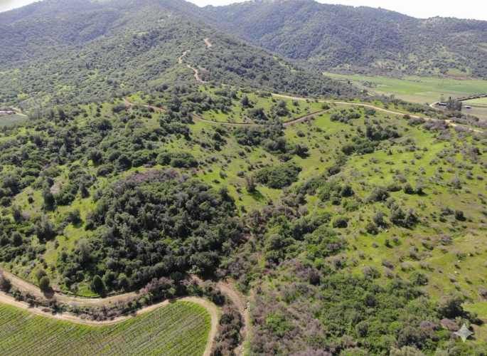 Parcelas en Santa Cruz: Vistas a Viñas del Colchagua (A 2 Hrs. Stgo).