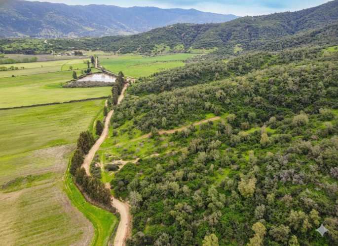 Parcelas en Santa Cruz: Vistas a Viñas del Colchagua (A 2 Hrs. Stgo).