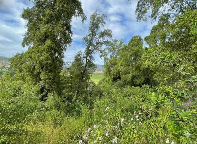 Parcelas en Santa Cruz: Vistas a Viñas del Colchagua (A 2 Hrs. Stgo).
