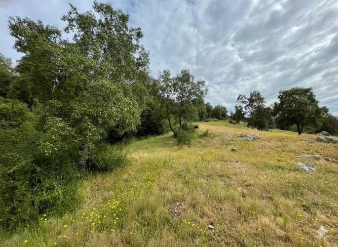 Parcelas en Santa Cruz: Vistas a Viñas del Colchagua (A 2 Hrs. Stgo).
