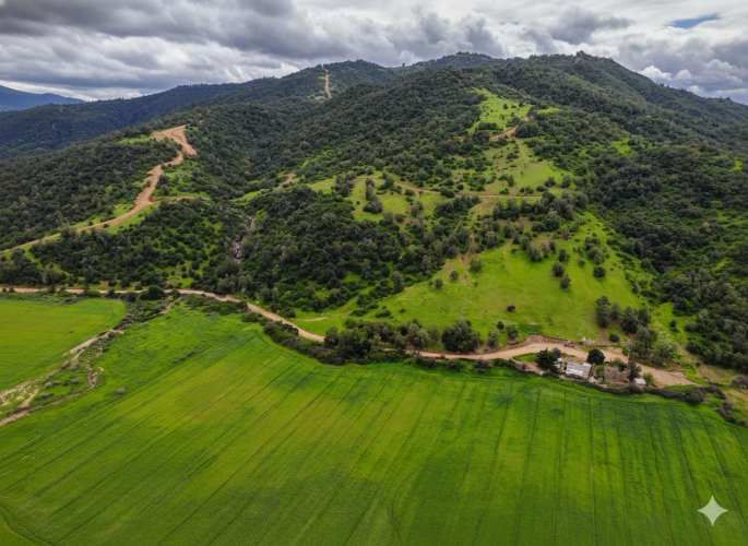 Parcelas en Santa Cruz: Vistas a Viñas del Colchagua (A 2 Hrs. Stgo).