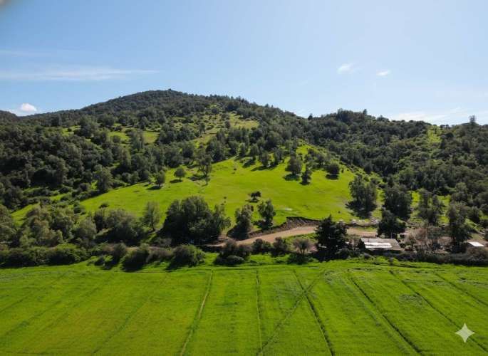 Parcelas en Santa Cruz: Vistas a Viñas del Colchagua (A 2 Hrs. Stgo).
