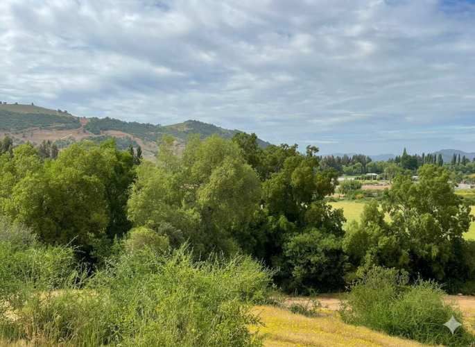 Parcelas en Santa Cruz: Vistas a Viñas del Colchagua (A 2 Hrs. Stgo).