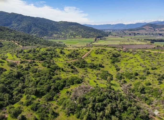 Parcelas en Santa Cruz: Vistas a Viñas del Colchagua (A 2 Hrs. Stgo).
