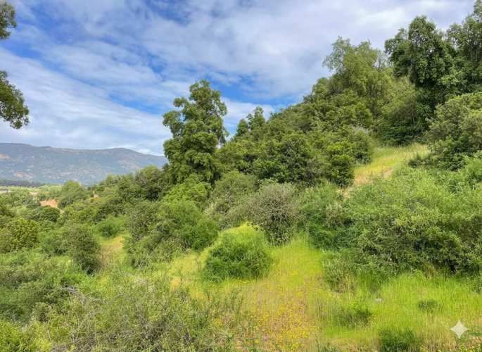Parcelas en Santa Cruz: Vistas a Viñas del Colchagua (A 2 Hrs. Stgo).