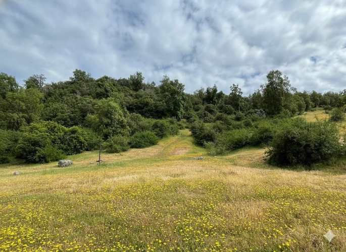 Parcelas en Santa Cruz: Vistas a Viñas del Colchagua (A 2 Hrs. Stgo).