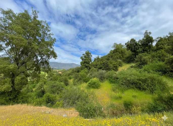 Parcelas en Santa Cruz: Vistas a Viñas del Colchagua (A 2 Hrs. Stgo).