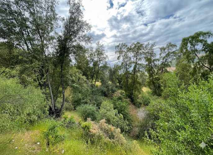 Parcelas en Santa Cruz: Vistas a Viñas del Colchagua (A 2 Hrs. Stgo).