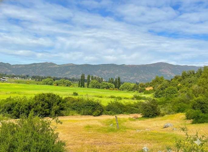 Parcelas en Santa Cruz: Vistas a Viñas del Colchagua (A 2 Hrs. Stgo).
