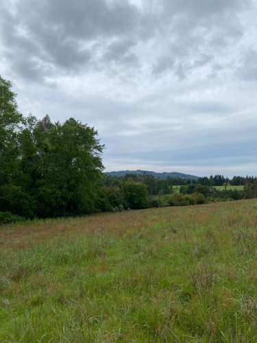 Se vende campo de 5,29 hec. en el sector sexta faja, la Araucanía