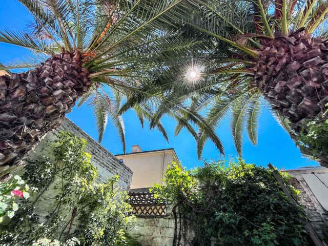 CASA ÑUÑOA VICENTE REYES CON PEDRO TORRES (126658)