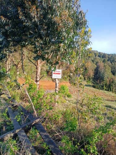 VENDO PARCELA DE 5.000 m² VALDIVIA en sector PIEDRA BLANCA