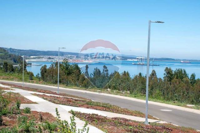 Venta de lotes proyecto tomé