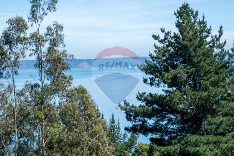 Venta de lotes proyecto tomé