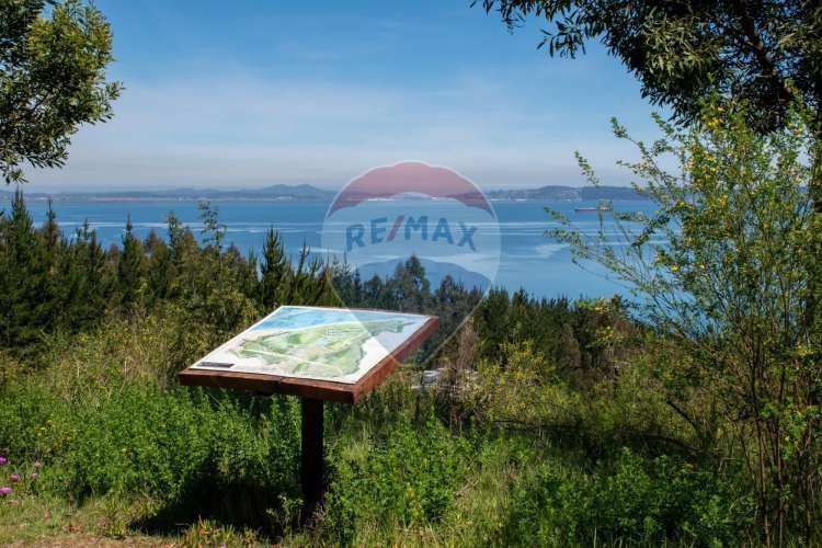 Venta de lotes proyecto tomé