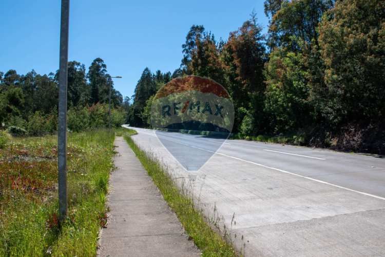 Venta de lotes proyecto tomé