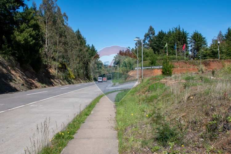 Venta de lotes proyecto tomé