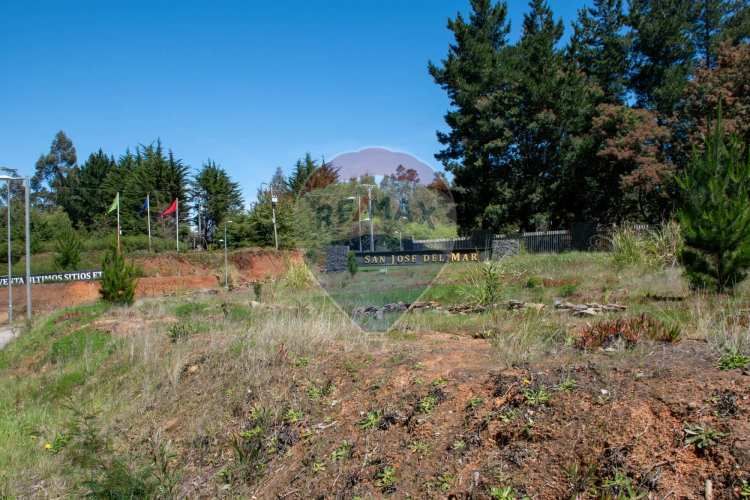 Venta de lotes proyecto tomé