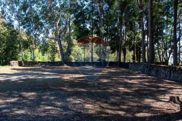 Venta de lotes proyecto tomé