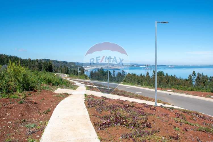 Venta de lotes proyecto tomé