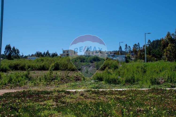 Venta de lotes proyecto tomé