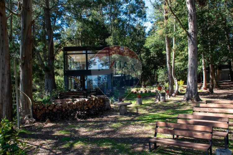 Venta de lotes proyecto tomé