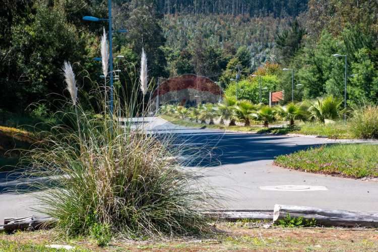 Venta de lotes proyecto tomé