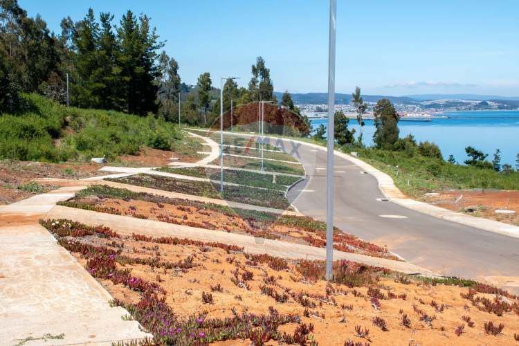 Venta de lotes proyecto tomé