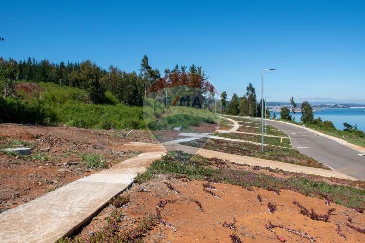 Venta de lotes proyecto tomé