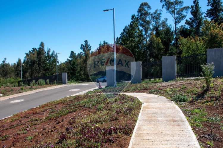 Venta de lotes proyecto tomé