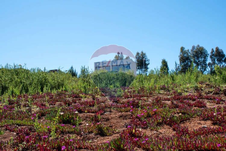 Venta de lotes proyecto tomé