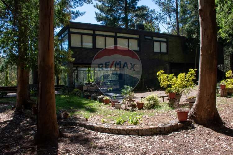 Venta de lotes proyecto tomé