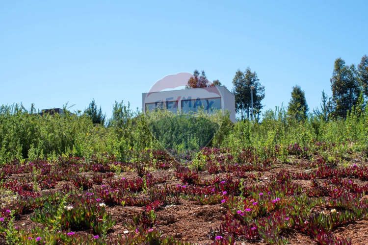 Venta de lotes proyecto tomé