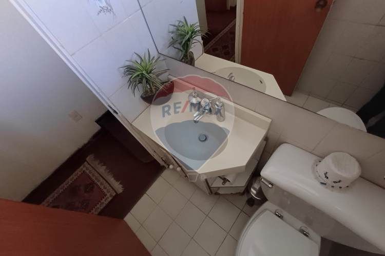 Diego de almagro / amapolas