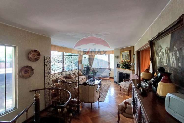 Diego de almagro / amapolas