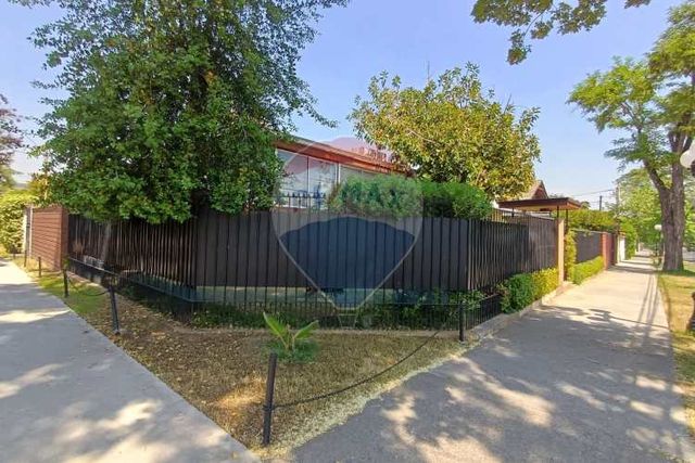 Diego de almagro / amapolas