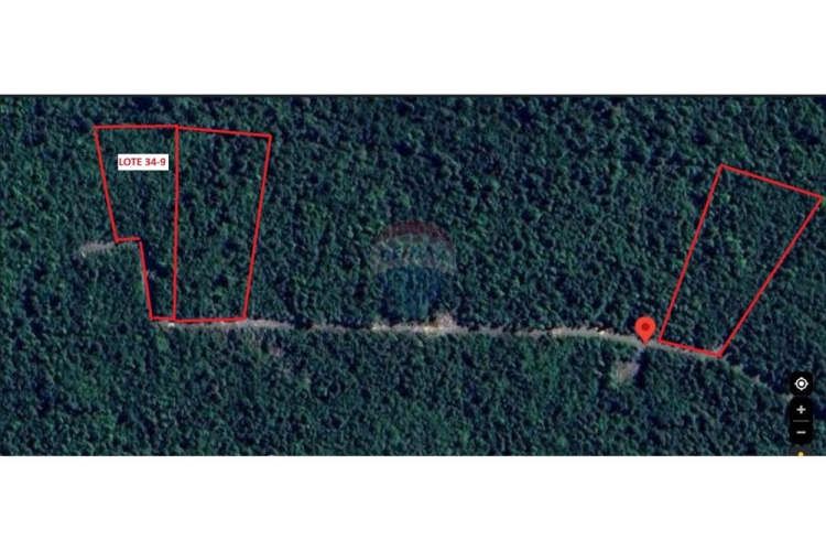 ¡oportunidad única! parcela lago chapo, 10,000m²