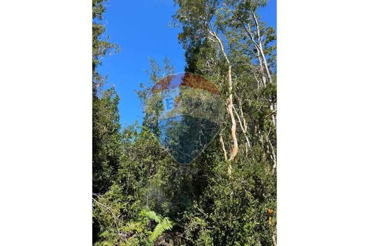 ¡oportunidad única! parcela lago chapo, 10,000m²