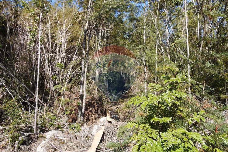 ¡oportunidad única! parcela lago chapo, 10,000m²