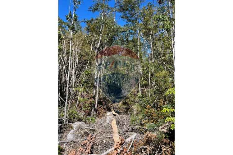 ¡oportunidad única! parcela lago chapo, 10,000m²