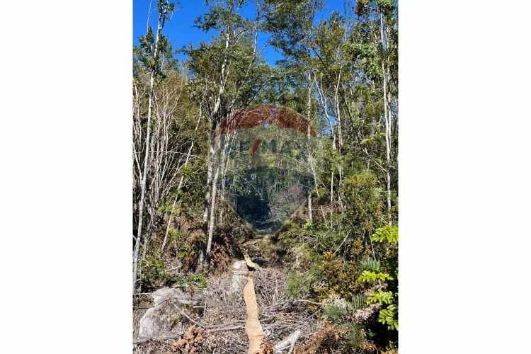 ¡oportunidad única! parcela lago chapo, 10,000m²