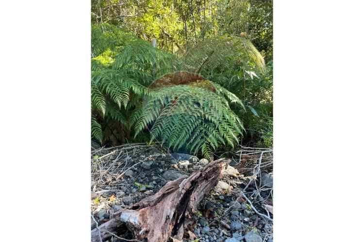 ¡oportunidad única! parcela lago chapo, 10,000m²
