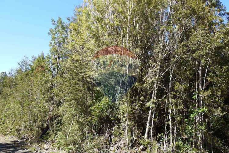 ¡oportunidad única! parcela lago chapo, 10,000m²