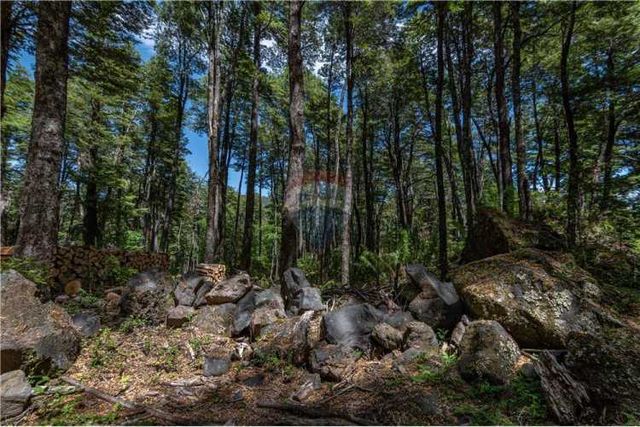 Terreno en venta 69 parcelas con rol curarrehue